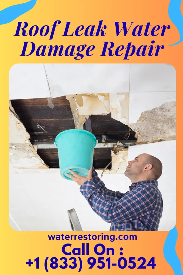 Roof Leak Water Damage Repair in Alhambra, IL